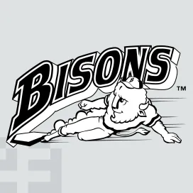 Buffalo bisons 2